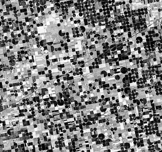 FIGURE 1.1. Satellite photography of pivot irrigation on roughly 720 square miles near Garden City, Kansas.