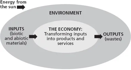 Adapted from Herman Daly