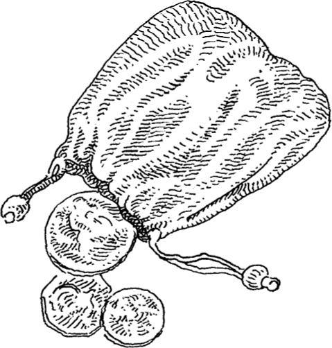 A black-and-white sketch shows a pouch with three ancient Spanish gold coins.