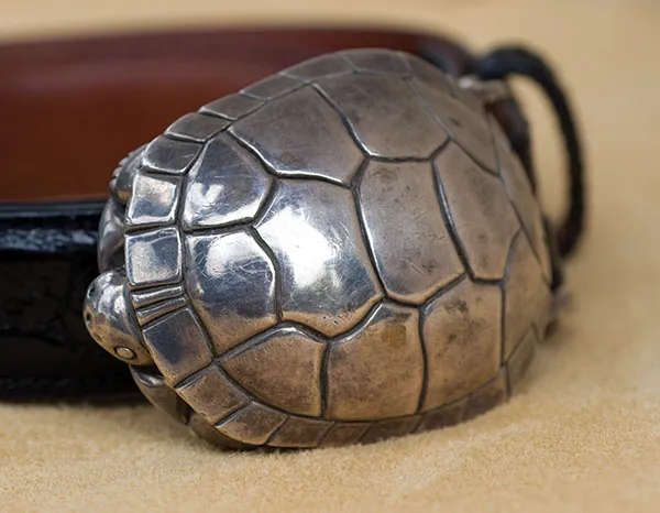 Photo of turtle buckle.