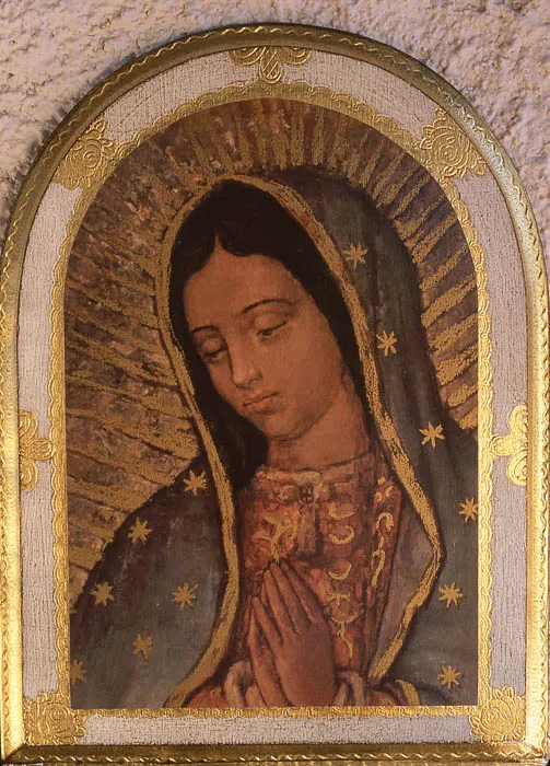 Photo of Virgin of Guadalupe, Manuel Doblado Central Market.