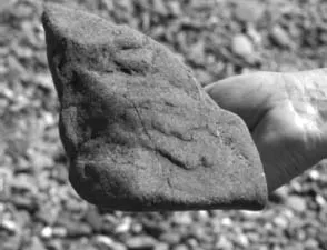 FIGURE 2.2. The rock from Figure 2.1 in a hand