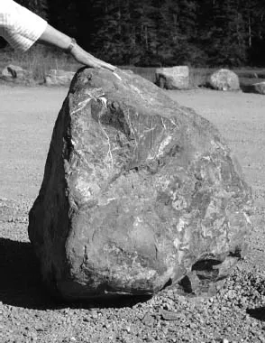 FIGURE 2.3. The other rock from Figure 2.1, but now in a context from which its size can be judged