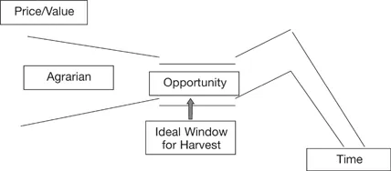 Figure 1-1. The window of opportunity for innovation.