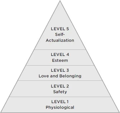 Figure 1-1. Maslow’s Pyramid.