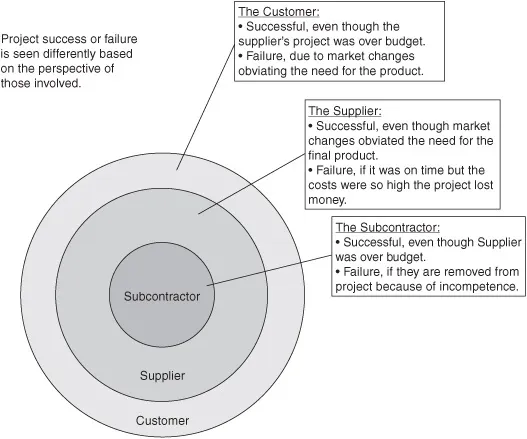 Figure 1-1: Perspectives on a Project 