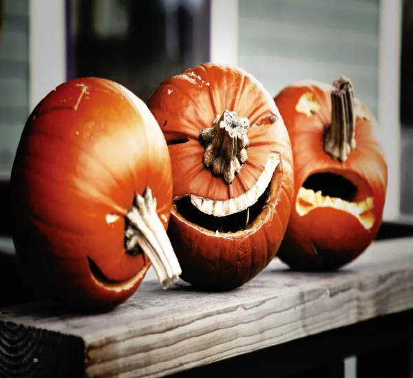 9781600610448_0017_001