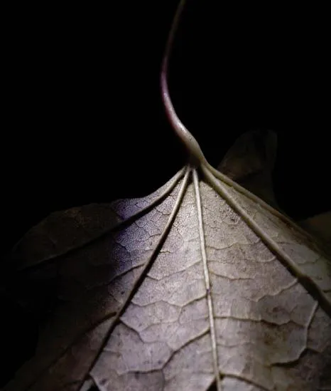 9781600610448_0018_001