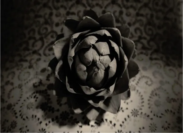 9781600610448_0021_001