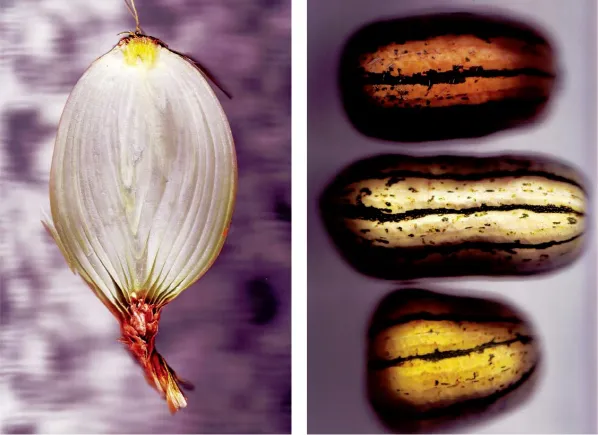 9781600610448_0022_001