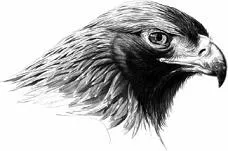 9781408134559_re_0026_001