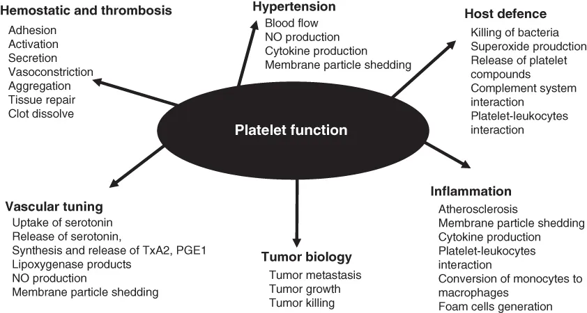 Schematic illustration showing the multiple roles of platelets in different diseases.