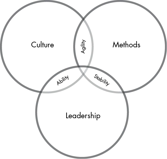 Three overlapping circles labelled Culture, Methods, and Leadership illustrating  the characteristics of project management. The common area shared by the first two circles is labelled Agility, shared by the next two is labelled Stability, and that shared by the first and the last is labelled Ability.