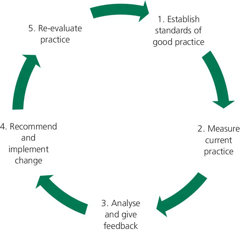 Cycle diagram of clinical audit from establishing standards of good practice to measuring current practice, analyzing and giving feedback, recommending and implementing change, and re-evaluating practice.