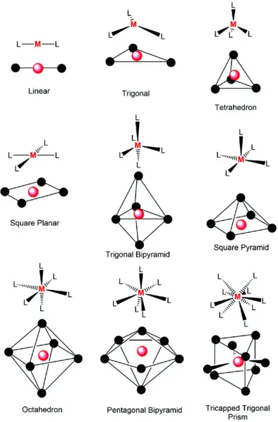 Chemical bonding structure shows common geometrics of metal complexes and intermediates, which are formed with metal ion and ligands, like linear, trigonal, tetrahedron, square planar, et cetera.