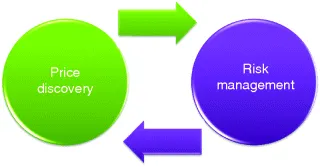 A pictorial representation of two widely recognized benefits of derivative instruments. The circles depicts the two derivatives price discovery and risk management that are connected by a two way arrow.