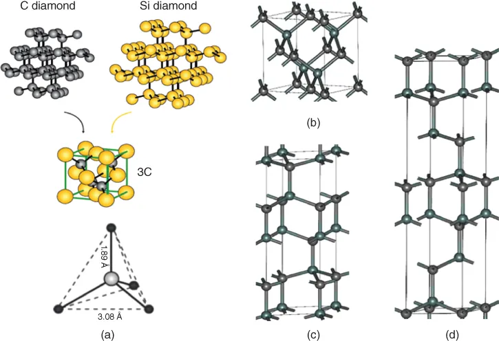 Image described by caption and surrounding text.