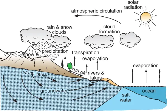 Scheme for The hydrological cycle.