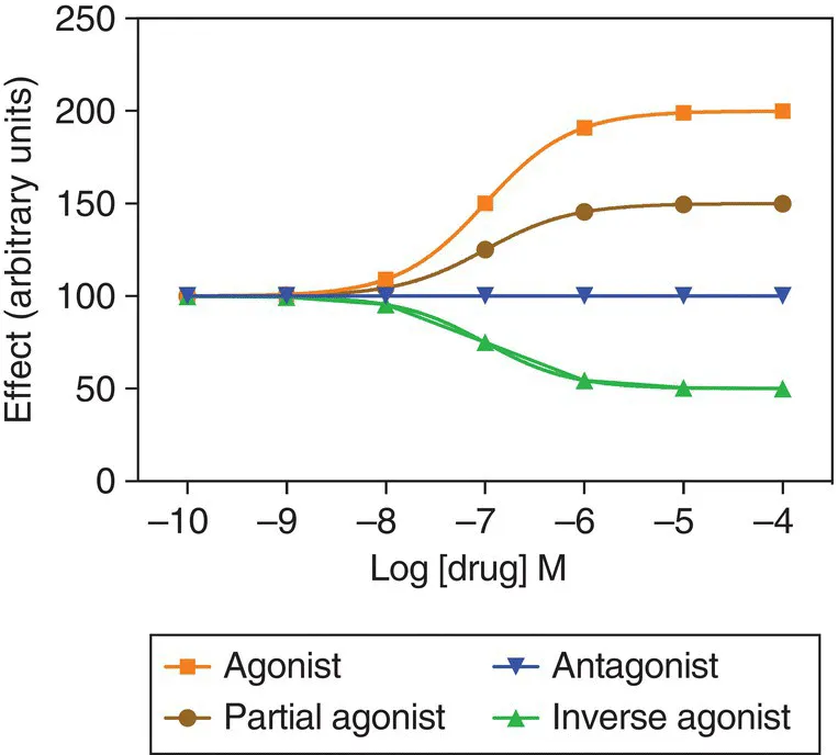 Graph of effect vs. log displaying 2 ascending curves for agonist (square) and partial agonist (circle), a horizontal line for antagonist (inverted triangle), and a descending curve for inverse agonist (triangle).