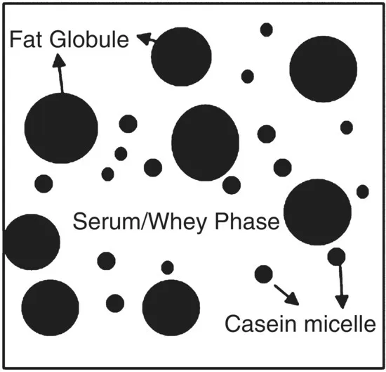 Image described by caption.