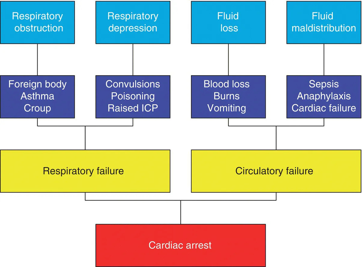 Diagram of pathways leading to cardiac arrest in childhood, from respiratory failure via obstruction or depression or from circulatory failure via fluid loss or maldistribution. 