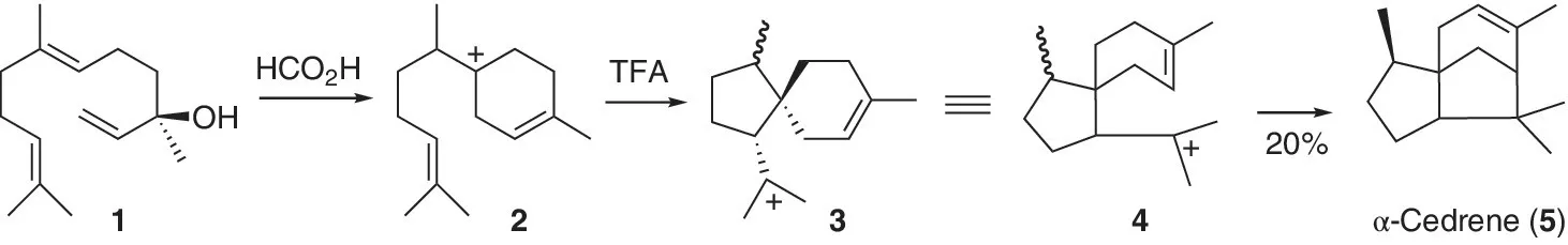 Image described by caption and surrounding text.