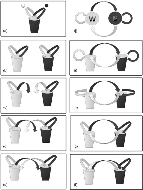 Described by caption