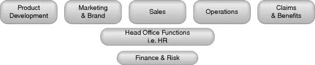 Figure depicting the insurance functions, where product development, marketing and brand, sales, operations, and claims and benefits are represented at the top. Head office functions and finance and risk are represented at middle and bottom, respectively.
