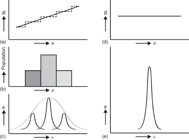 Graphical illustration of NMR in inhomogeneous and in homogeneous fields.
