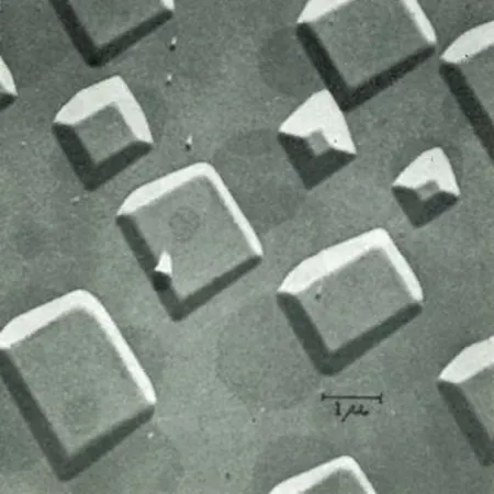 Image described by caption.