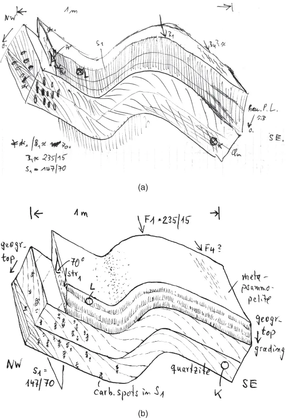 Sketch of Monoclinic fold and Cross bedding and S1 foliation planes.