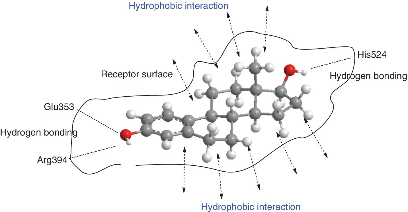 Ball and stick model illustrating the interactions of ligand with receptor. The components are labeled receptor surface, Glu353, Arg394, and His524. Double-headed arrows indicate hydrophobic interaction.