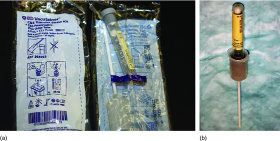 Image described by caption.