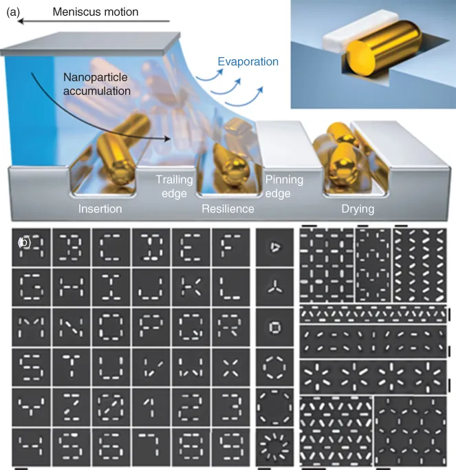 Photo illustration of Assembly of Au NRs on a patterned solid substrate.