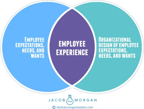 Scheme for Employee Experience Design.