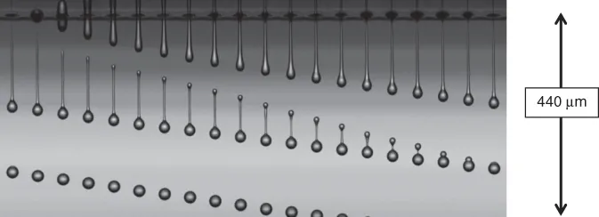 Image described by caption.