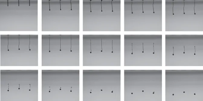 Image described by caption.