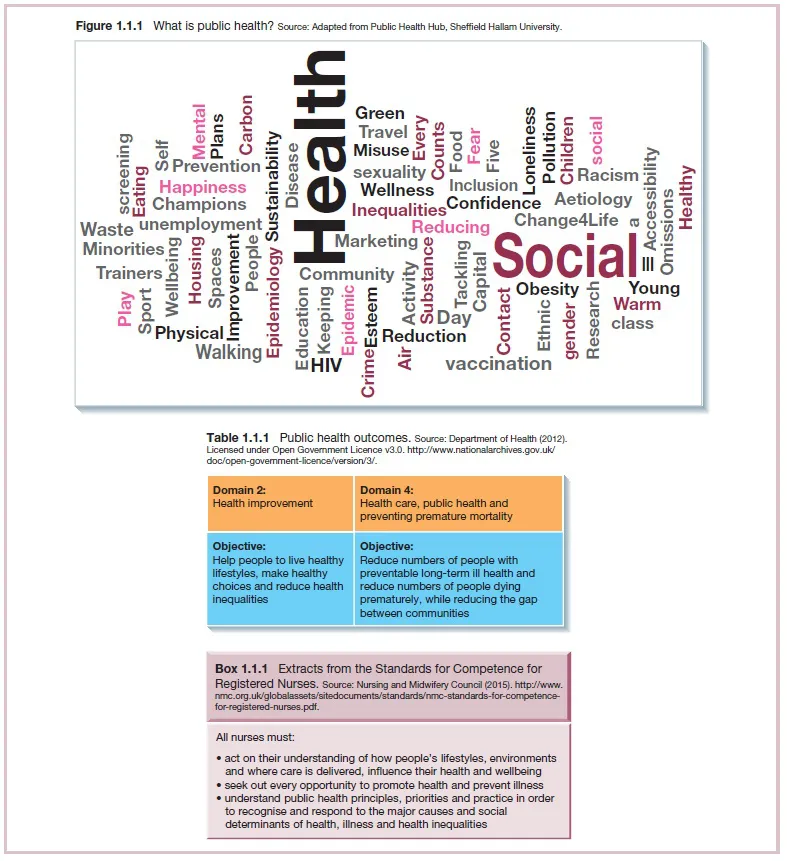 Top image shows word cloud which includes words like 'Health', 'Social', 'Physical' et cetera. Table shows objectives of domains like health improvement and health care. Text block shows extracts from the standards for competence for registered nurses.