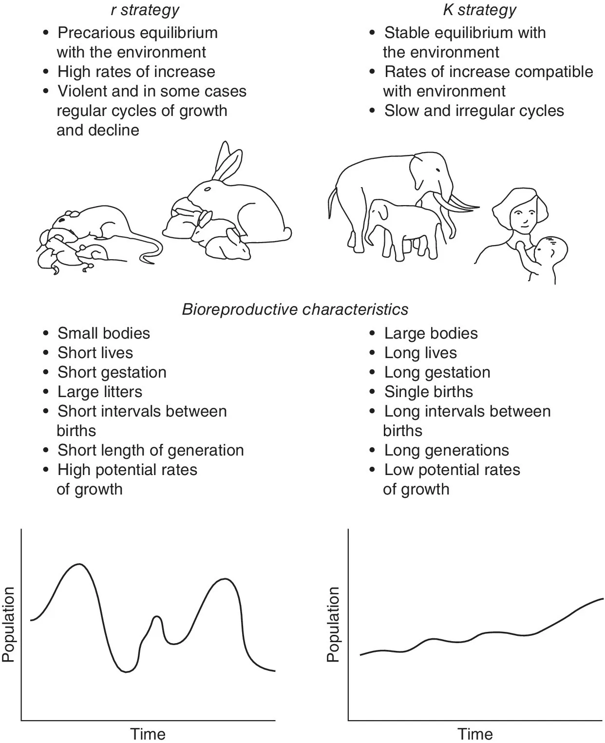 Top: Diagrams of mice and rabbits are under r strategy (left) and elephants and people are under K strategy (right). Bottom: Two graphs of population over time displaying different waves for r and K strategies.
