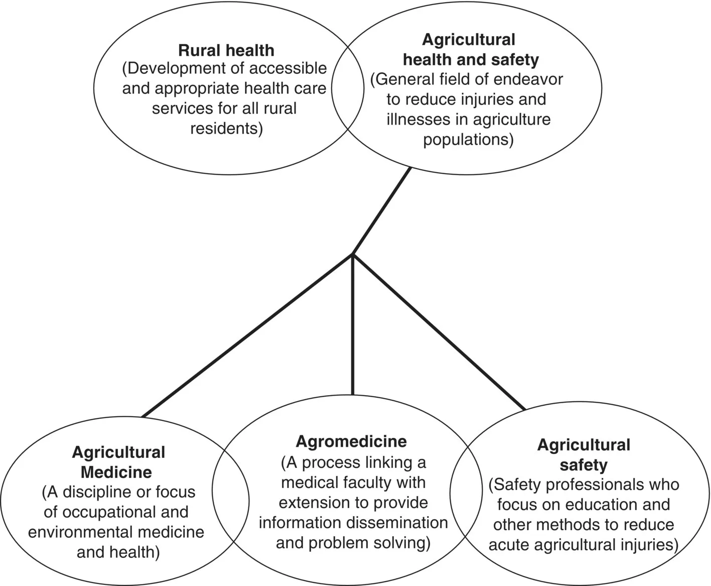 Diagram illustrating the terminologies rural health and agricultural health and safety and their relationships to Agricultural Medicine, Agromedicine, and agricultural safety depicted by linked ovals.