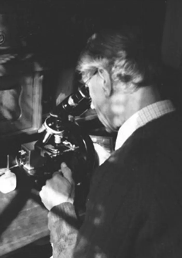 Image described by caption.