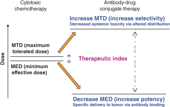 Illustration depicting the increase in therapeutic index of cytotoxic drugs by conjugation to antibodies.