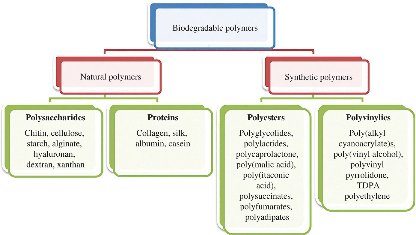 Tree diagram of biodegradable polymers categorized as natural (polysaccharides and proteins) and synthetic (polyesters and polyvinylics).