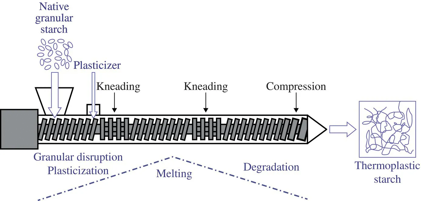 Schematic illustrating thermoplastic starch formation. Native granular starch and plasticizer undergo kneading, plasticization, melting, degradation, kneading, and compression.