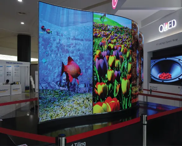 Photo showing dual-sided flexible OLED television prototype.