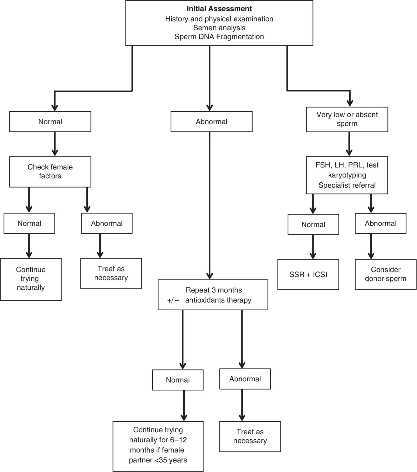 Flow diagram outlining initial assessment of the male patient, from initial assessment branching to normal, abnormal, and very low or absent sperm, leading to treat as necessary, consider donor sperm, etc.