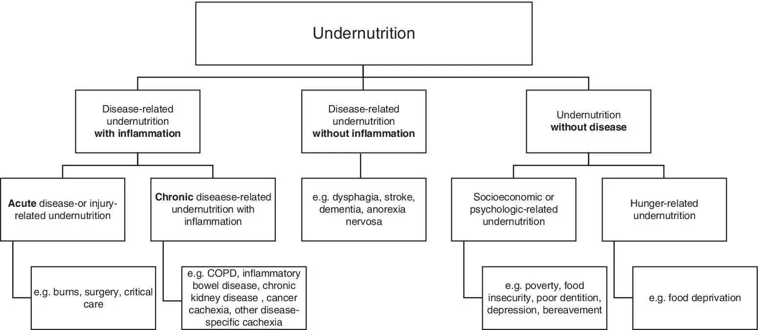 Flow chard of chronic obstructive pulmonary disease (COPD) illustrating from undernutrition to disease related with and without inflammation, to acute, to chronic, to socioeconomic, and to hunger-related.