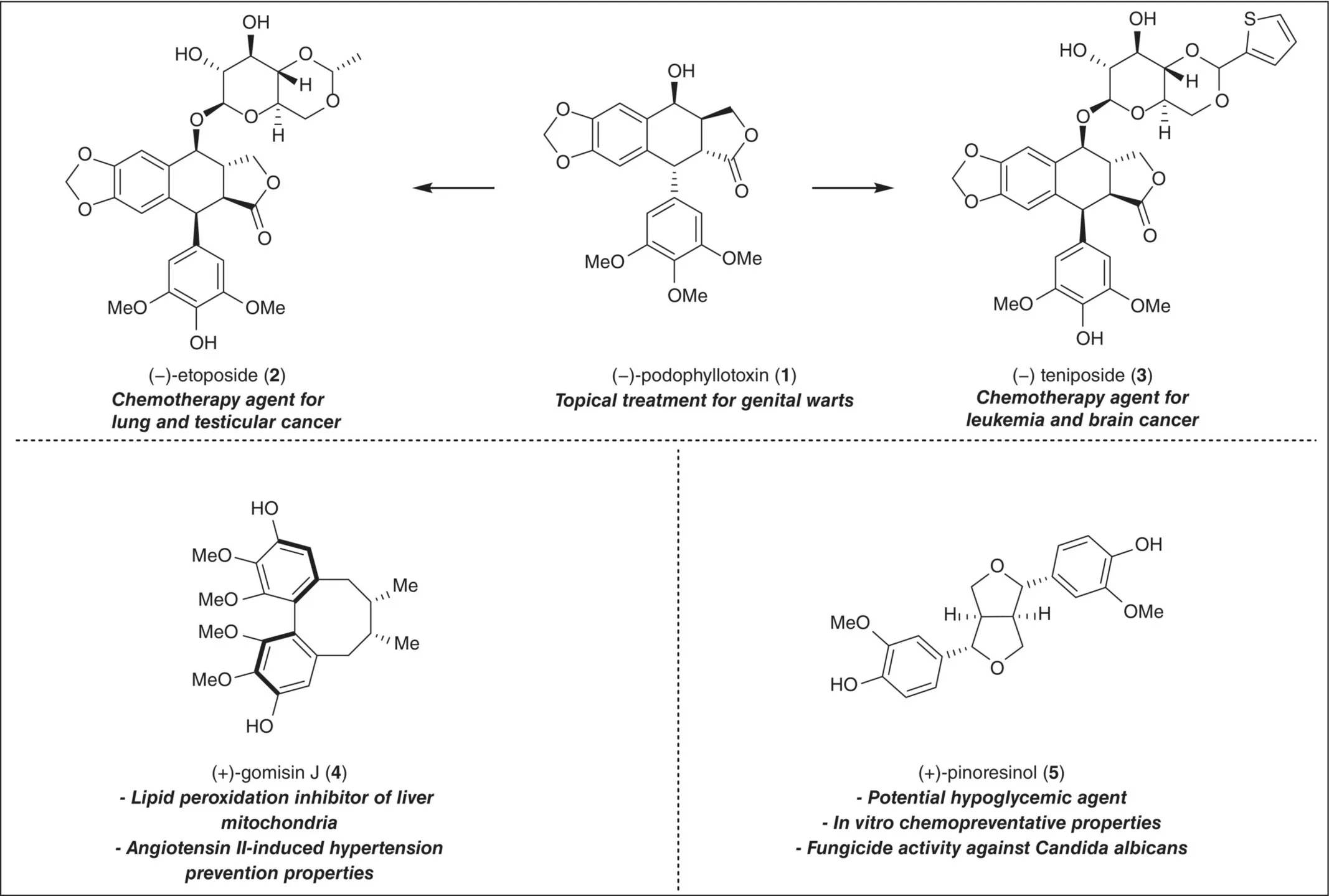 Selected biologically active lignan natural products.