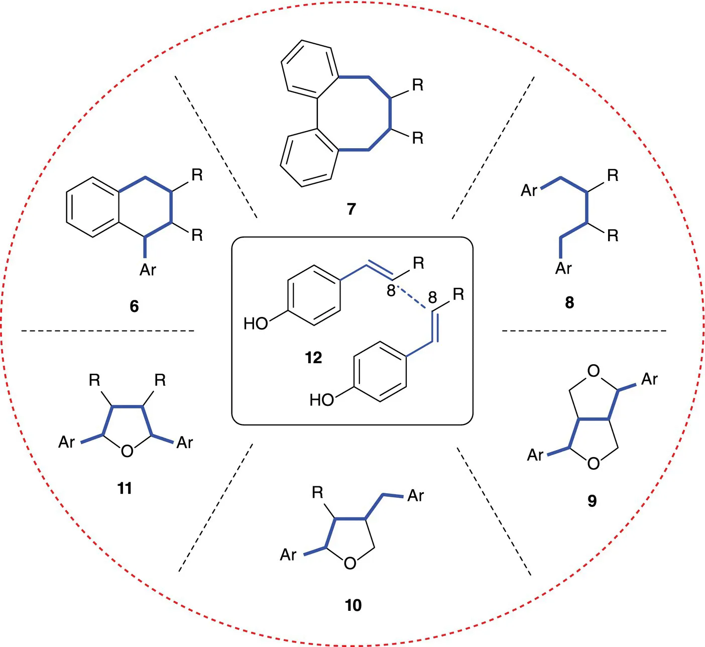 Structural classes of lignans.