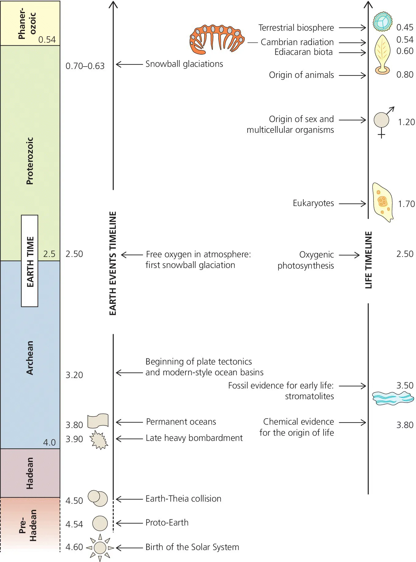 Schematic illustrating the major events in the history of the Earth and early life, displaying the four eons, namely, the Hadean, the Archean, the Proterozoic, and the Phanerozoic.